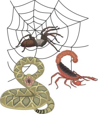 Animais Peçonhentos