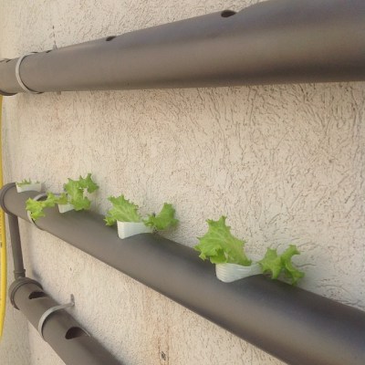 1378252_641708985864036_276574965_n