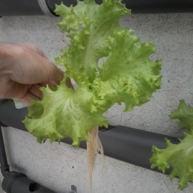 1379879_645564598811808_1118029117_n