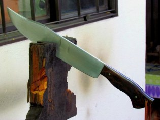 539667_263910050384779_963046178_n