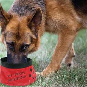 comedouro-e-bebedouro-2-em-1-para-caes-e-gato-pet-travel-9105514