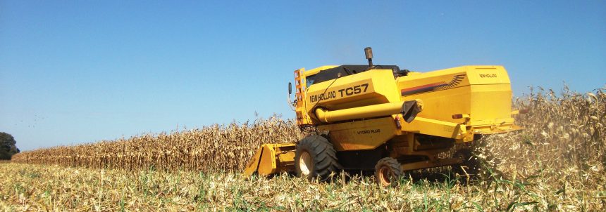 colheita-safrinha-2012-029