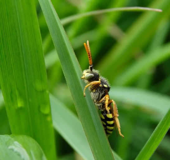 34265560312_53d203ab6b_b